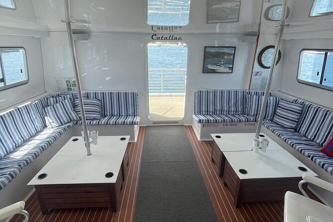 Luxury Whale Watching: Fewer People, Extra Speed, Expert Staff - Your best game plan: what to bring and where to stand