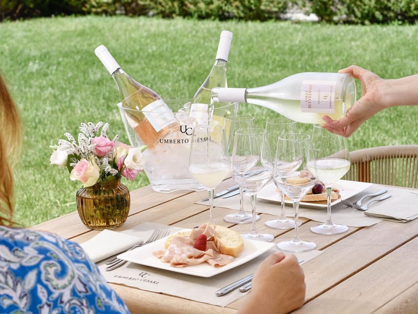 Luxury Wine Tasting with Food Pairing near Bologna - Key points to know before you go