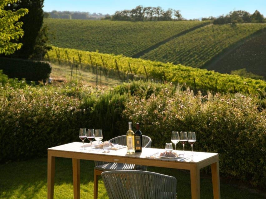 Luxury Wine Tasting with Food Pairing near Bologna - Barrel room tour: how aging becomes part of the flavor