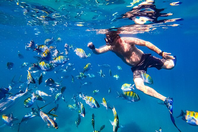 Luxury Yacht & Snorkel with All inclusive Open bar and lunch - Sea conditions, motion sickness, and snorkeling gear comfort