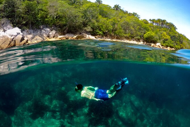 Luxury Yacht & Snorkel with All inclusive Open bar and lunch - Getting started at Vallarta Adventures (and why arriving early matters)