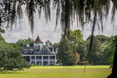 Magnolia Plantation Tour with Small Group Transportation - Getting There: Downtown Charleston to Magnolia by Mercedes Sprinter Van
