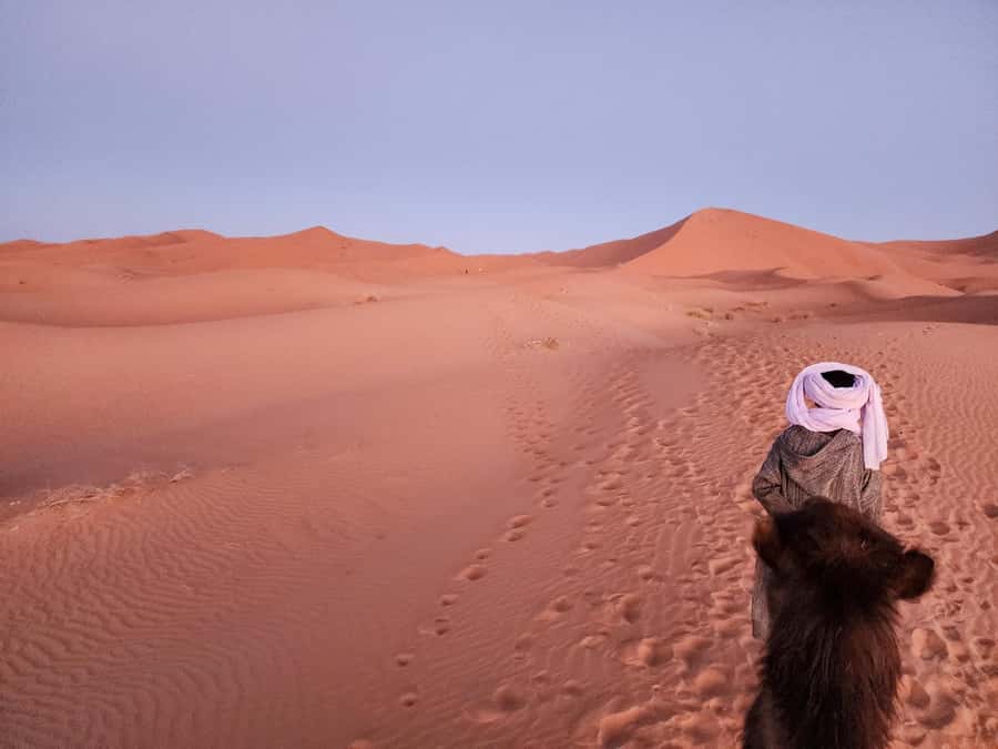 Majestic Desert: 3-Day Luxury Journey from Marrakech to Fes - Key highlights you should know before you go