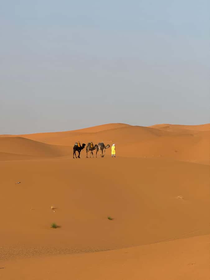 Majestic Desert: 3-Day Luxury Journey from Marrakech to Fes - Luxury desert camp: warmth, blankets, and the reality check