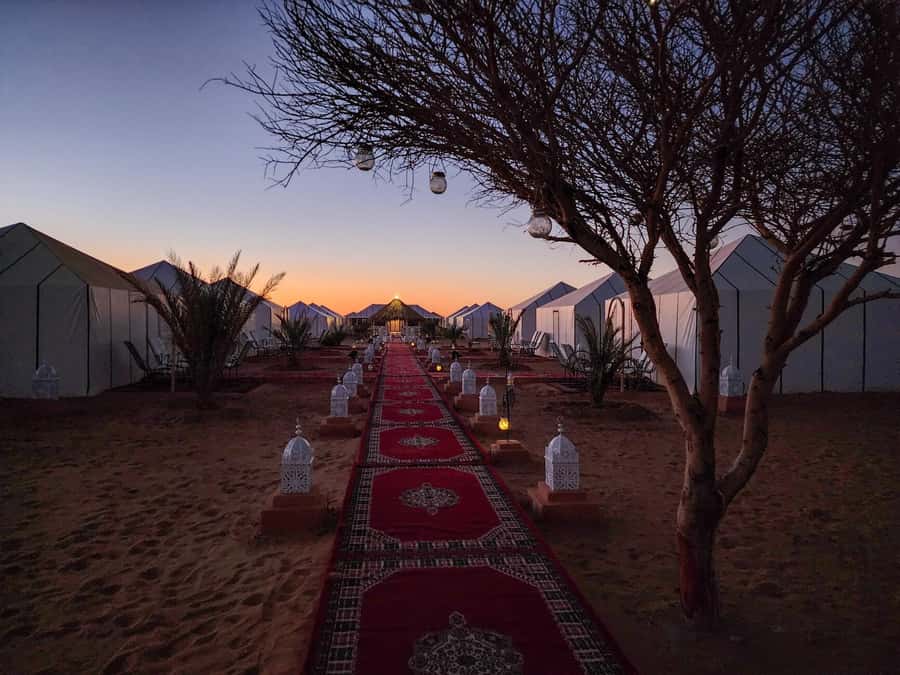 Majestic Desert: 3-Day Luxury Journey from Marrakech to Fes - Day 3 sunrise and the drive back toward city life