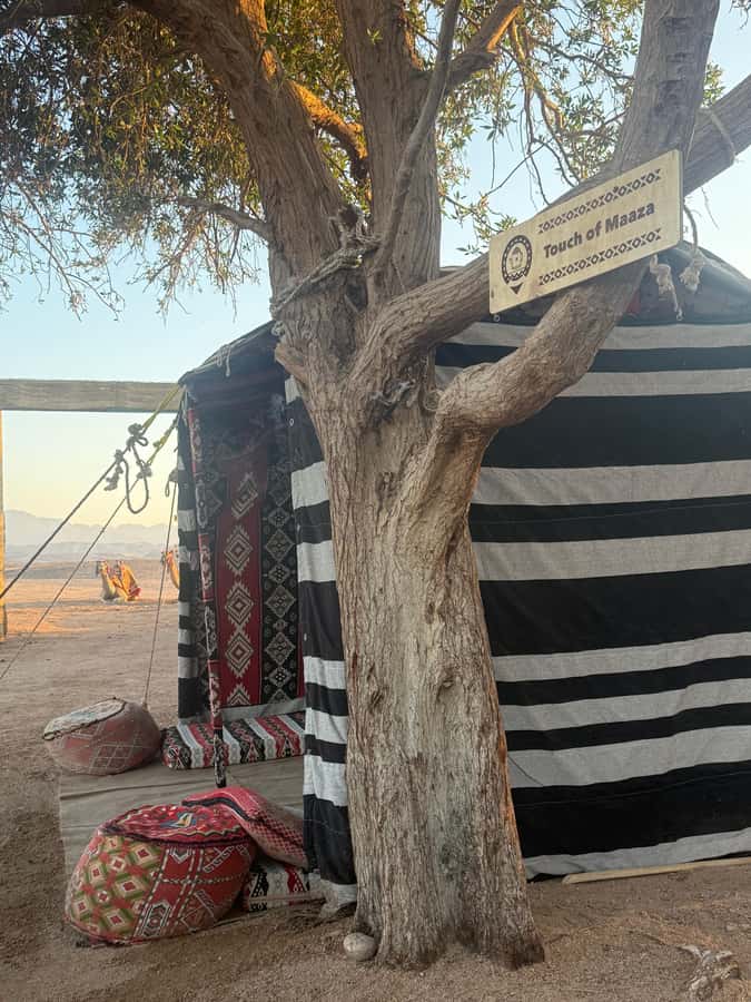 Makadi Bay: BADU Luxury Bedouin Dinner Experience & Stargaze - Sunset Camel Ride on the Dunes: Do It for the Sky Color