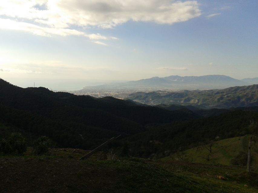 Málaga: 4-Hour Premium E-Bike Tour with Panoramic Views - Who Should Book (and Who Should Skip) This Tour