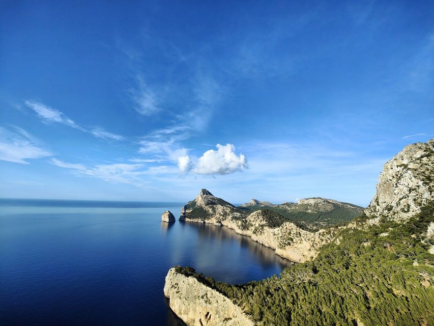 Mallorca: Premium Wine Experience, Tasting and Fine Foods - Vineyard views and a Sencelles setting that feels made for slow afternoons