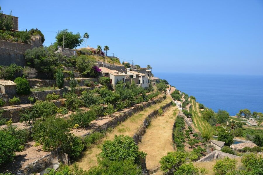 Mallorca: Premium Wine Experience, Tasting and Fine Foods - The guided winery tour: what you’ll learn as you walk