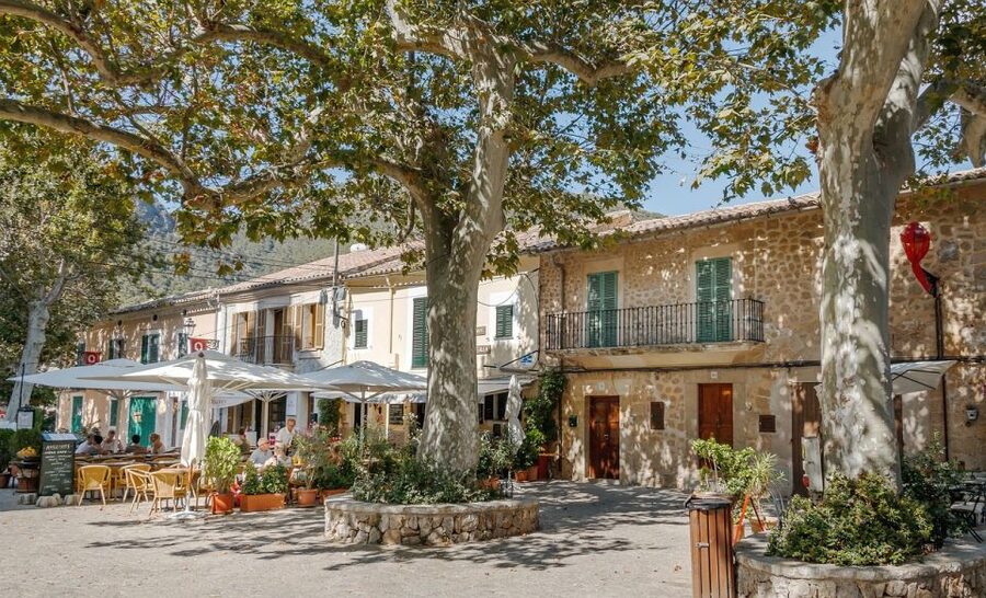 Mallorca: Premium Wine Experience, Tasting and Fine Foods - The 2–2.5 hour flow: from short walk to the tasting flight