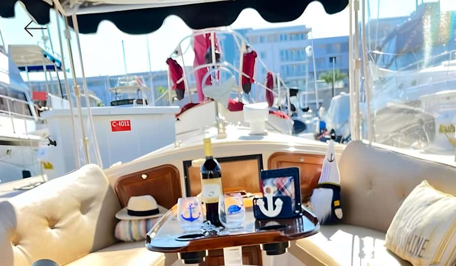Marina Del Rey Luxury Boat Cruise Wine, Charcuterie Sealions - Watching sea lions in Marina del Rey without breaking the vibe