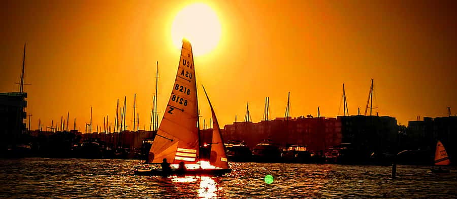 Marina Del Rey Luxury Boat Cruise Wine, Charcuterie Sealions - Captain Shaun and the kind of Marina talk you’ll actually remember