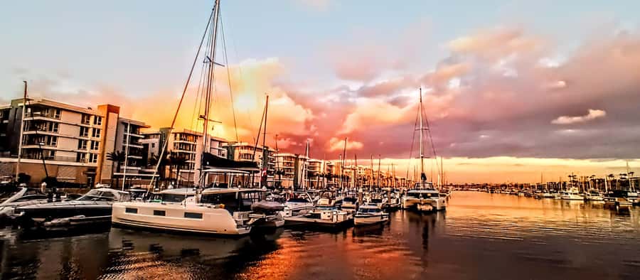 Marina Del Rey Luxury Boat Cruise Wine, Charcuterie Sealions - Pricing and value: where the $149 feels fair (and where it might not)