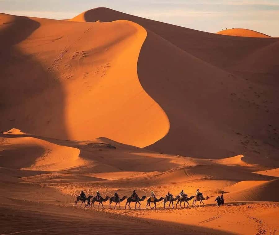 Marrakech: 3-day Exclusive Desert Luxury Tour; Quad & Camels - Day 3 Back to Marrakech: Early Sunrise, Midway Lunch, Then Drop-Off