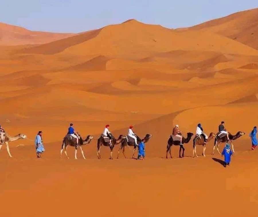 Marrakech: 3-day Exclusive Desert Luxury Tour; Quad & Camels - What You Should Pack (and Plan For) to Enjoy It More