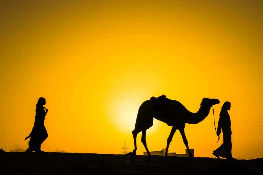 Marrakech : Agafay Desert Sunset Camel Ride & Luxury Dinner - Marrakech Pickup to Agafay: The Drive That Sets the Mood