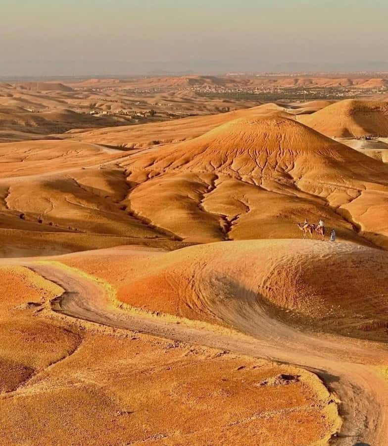Marrakech : Agafay Desert Sunset Camel Ride & Luxury Dinner - Price and Value: What You’re Really Paying For at About $27