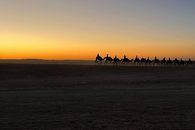 Marrakech: Camels & Quads on Sunset and Luxury Dinner with Show - Camel ride: the slow part that makes the sunset hit harder