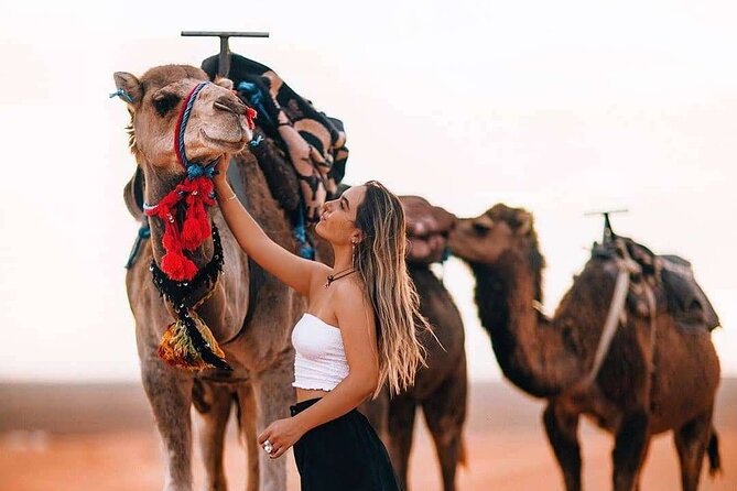Marrakech: Camels & Quads on Sunset with Luxury Dinner, Fireshow - Quick Hits Before You Go: Camel, Quad, Tea, and Fire Show