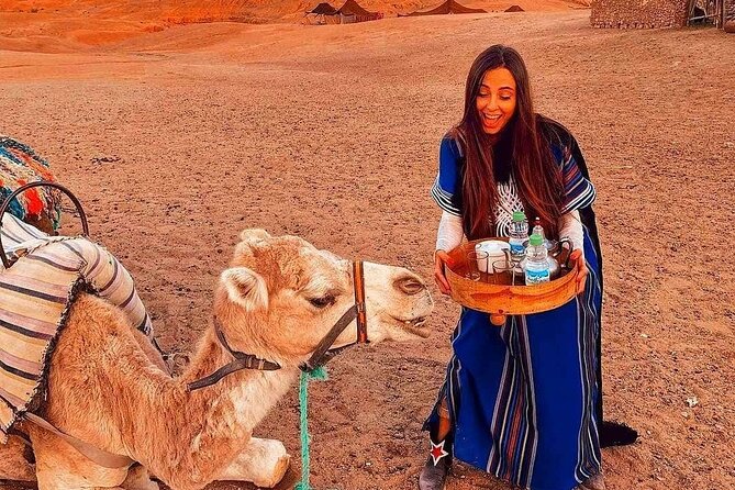 Marrakech: Camels & Quads on Sunset with Luxury Dinner, Fireshow - Camel Trek Basics: Safety, Guides, and the Berber Outfit Photos