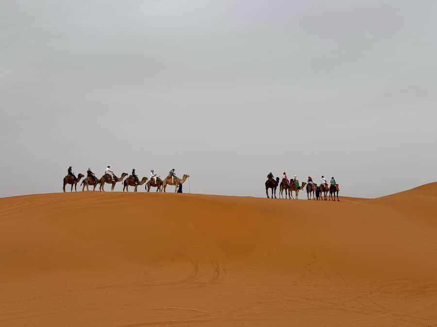 Marrakech to Fes 3-Day Sahara Desert Tour - Day 2: Todra Gorges, Berber Cooperatives, and Erg Chebbi by Camel