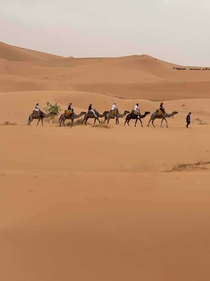 Marrakech To Merzouga : 3-Day Dreams Tours & Luxury Camp - The Desert Camp Details That Actually Matter