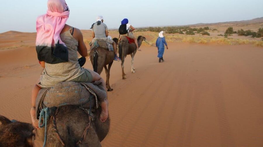 Marrakech to Zagora:2-Day Luxury Sahara Tour with Camel Ride - Zagora desert camp: camel trek, dinner, and Berber music
