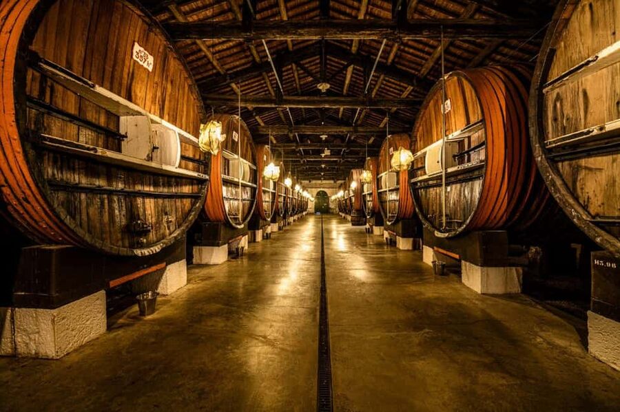 Marseillan: La Maison Noilly Prat Premium Tour - Key Things To Know Before You Go