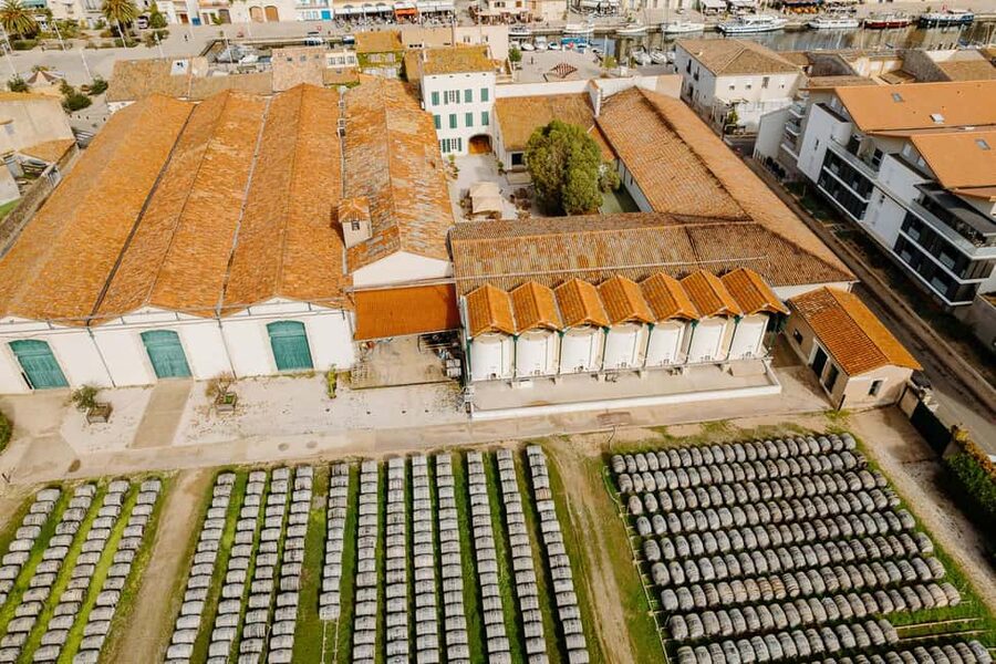 Marseillan: La Maison Noilly Prat Premium Tour - The Historical Maison Tour: What You’ll See and Why It Matters