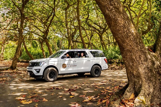 Maui by Storm: Epic Private Luxury Road to Hana Adventure Tour - What to pack for a Road to Hana day with real swimming and beach time
