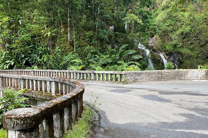 Maui by Storm: Epic Private Luxury Road to Hana Adventure Tour - Laid-back local stops: honey bees, coffee at Laulima, and quick history moments
