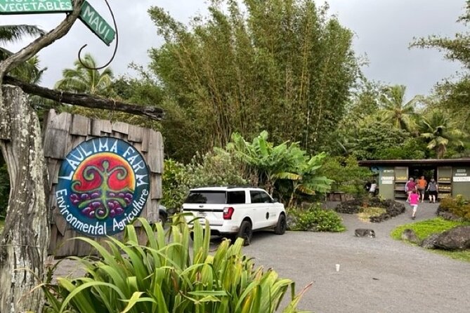 Maui by Storm: Epic Private Luxury Road to Hana Adventure Tour - Hana town, backside views, and photo-stop magic