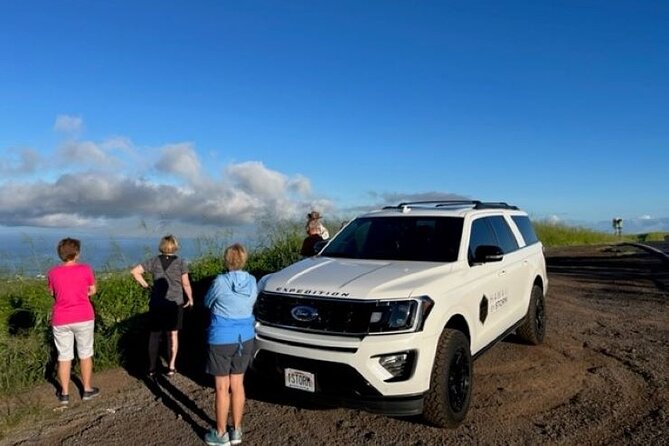 Maui by Storm: Epic Private Luxury Road to Hana Adventure Tour - Price and value: what you’re really paying for (and what you’re not)