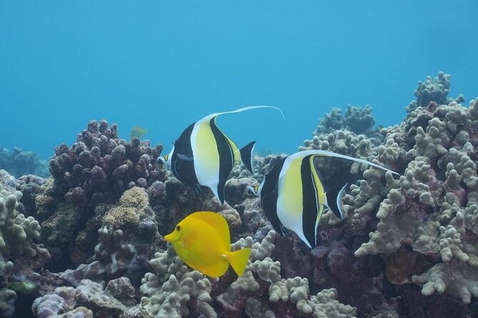 Maui: Molokini and Turtles Luxury Yacht Snorkel - The Crew and That Calm, Take-Care-Of-You Feeling