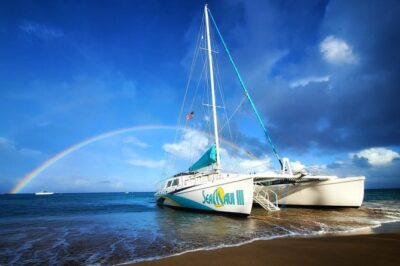 Maui Premium Sunset Dinner Cruise from Ka’anapali Beach - Whale watching season: Dec 15–Apr 15 and what to expect