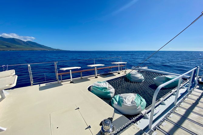 Maui Premium Sunset Dinner Cruise from Ka’anapali Beach - Meeting Sea Maui on Beach Walk: where to go and how to arrive smoothly