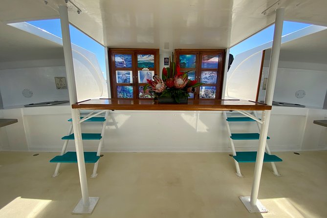 Maui Premium Sunset Dinner Cruise from Ka’anapali Beach - Price and value: what $166.31 buys you