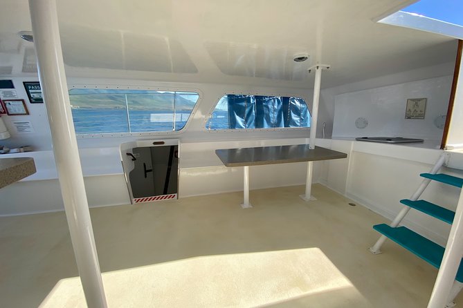Maui Premium Sunset Dinner Cruise from Ka’anapali Beach - Who should book this cruise (and who should skip it)