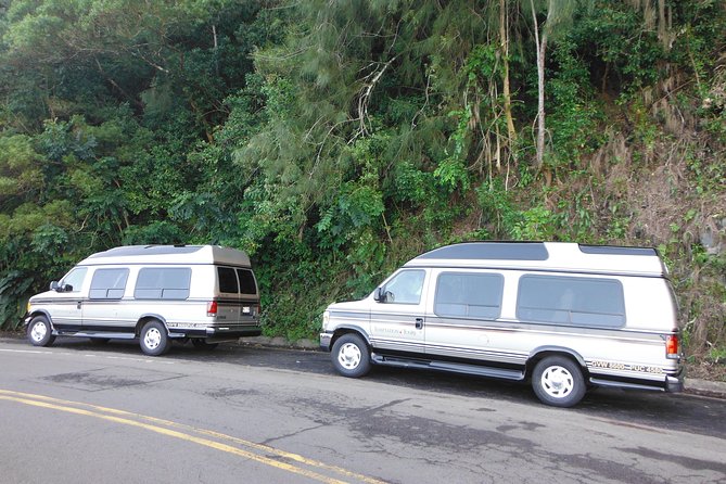 Maui: Road to Hana Luxury Limo-Van Tour with Helicopter Flight - Who should book this Hana Sky-Trek style day