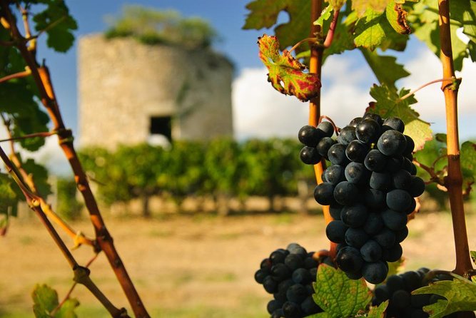 Médoc luxury wine tour aboard a Citroën DS Limousine Convertible - Quick hits you’ll actually use