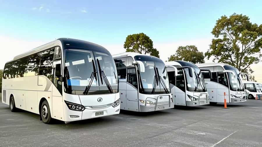 Melbourne Great Ocean Road Benz SmallGroup&LuxCoach BigGroup - Meet at The Great Southern Hotel and get comfortable fast
