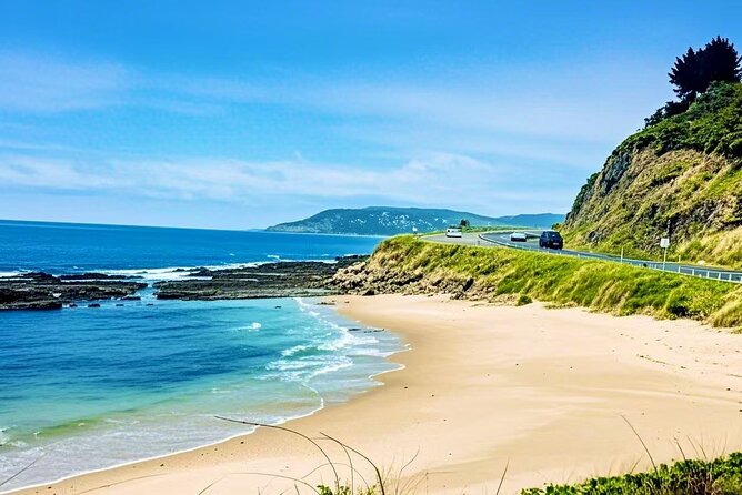 Melbourne Great Ocean Road Reverse Tour + London Bridge wildlife - Why a reverse Great Ocean Road day trip makes sense