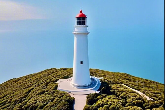 Melbourne Great Ocean Road Reverse Tour + London Bridge wildlife - The park stop for walks and wildlife, then London Bridge
