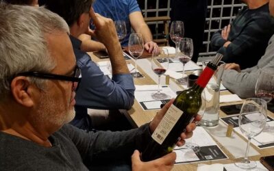 Mendoza: Premium Wine Tasting - What you drink: one white and three Mendoza red varieties, across eight pours