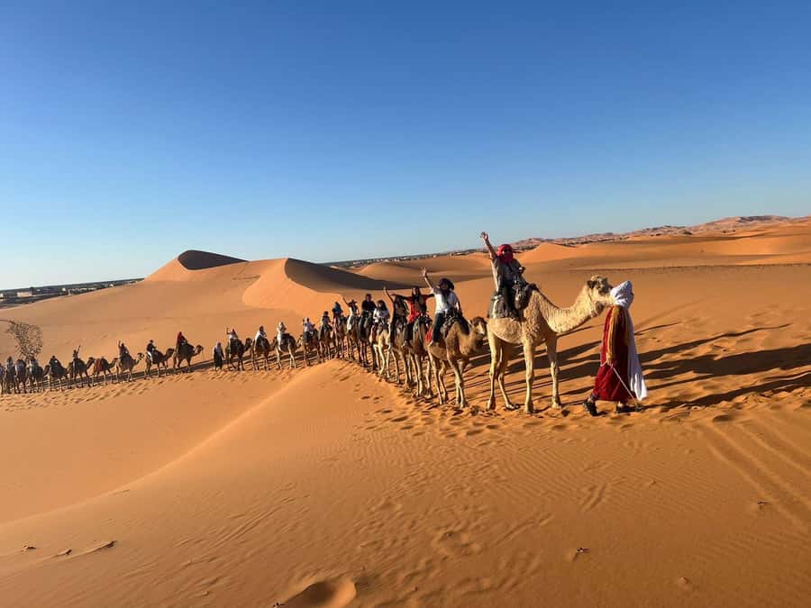 Merzouga: 1-Night in the luxury camp. camel ride & Dinner - Price and Logistics: What You Pay for at $79, and What to Watch