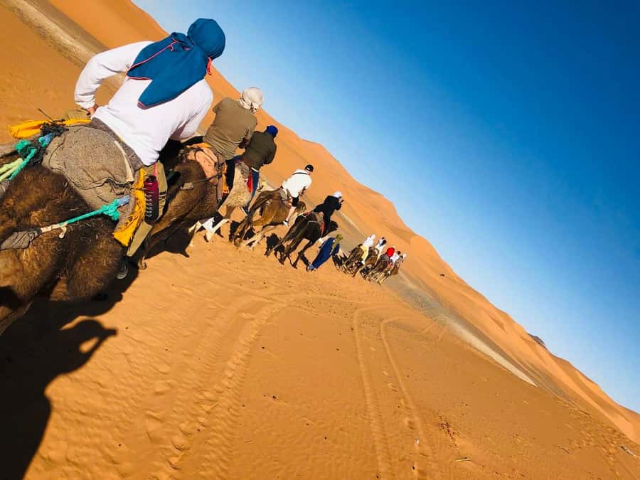 Merzouga: 1-Night in the luxury camp. camel ride & Dinner - Who This Is Best For (and Who Might Find It Too Much)