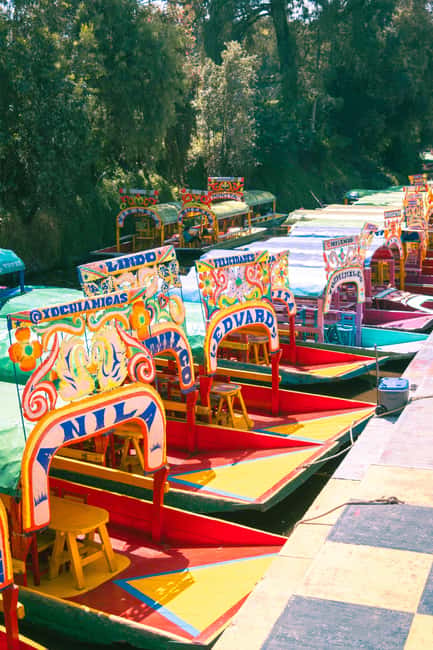 Mexico City: Xochimilco Boat with Guacamole & Premium Drinks - Quick hits: why this Xochimilco boat experience works
