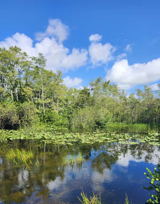 Miami: Everglades Airboat Eco Tour w/ Luxury Transportation - Key things that make this Everglades airboat tour work