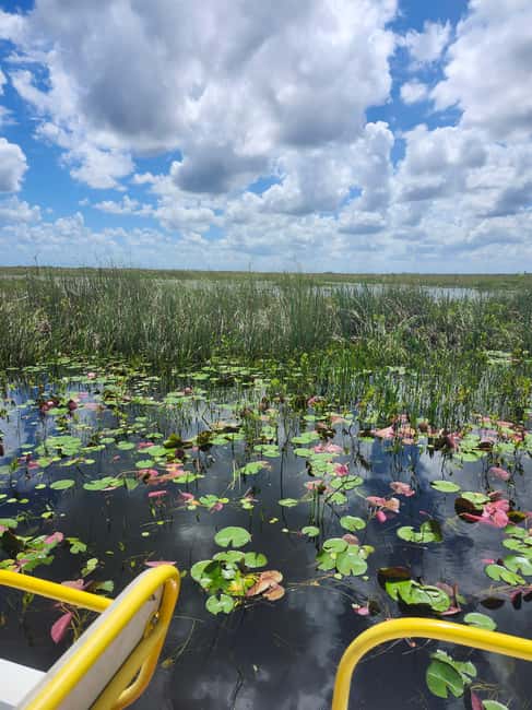 Miami: Everglades Airboat Eco Tour w/ Luxury Transportation - How the Miami-to-Everglades Luxury Suburban changes your whole day
