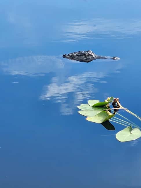 Miami: Everglades Airboat Eco Tour w/ Luxury Transportation - Open-air airboat time: what that 40-minute ride gives you
